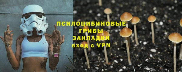 МДПВ Осинники