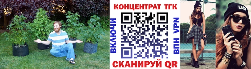 Купить закладки  Судак  Дистиллят ТГК THC oil 