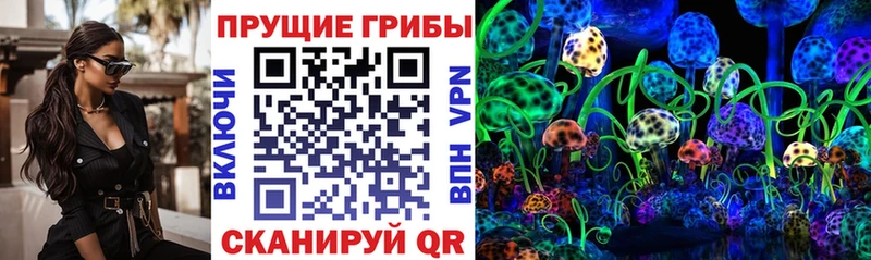 Галлюциногенные грибы мицелий Судак